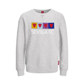 Boy grey sweatshirt